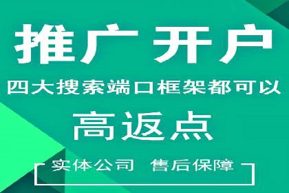 竞价广告的投放策略：XX企业成功案例解析